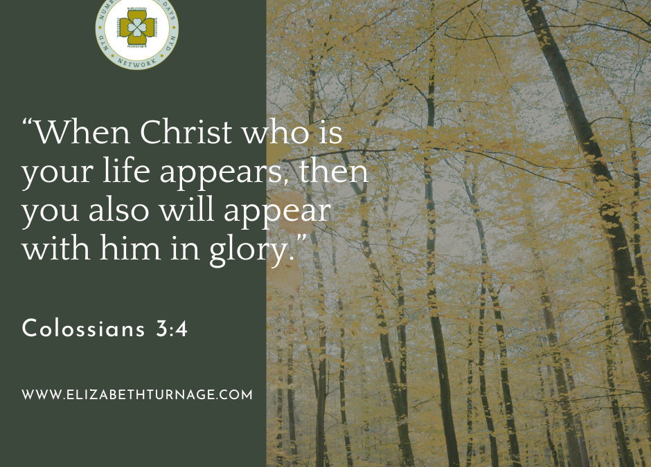 A Prayer about Christ Our Life