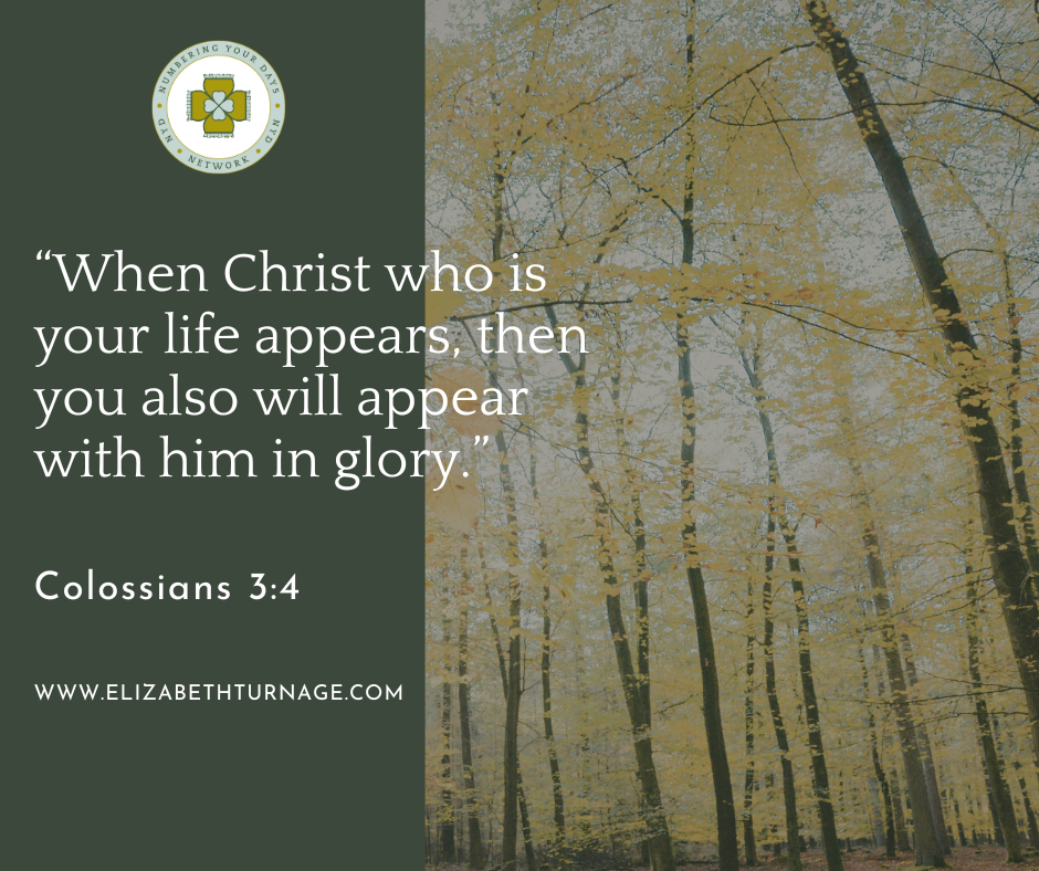 “When Christ who is your life appears, then you also will appear with him in glory.”
