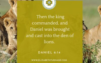 A Prayer about Going Places We Never Wanted to Go