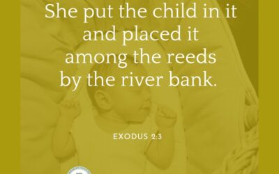 A Prayer about Trusting the Lord to Protect Children