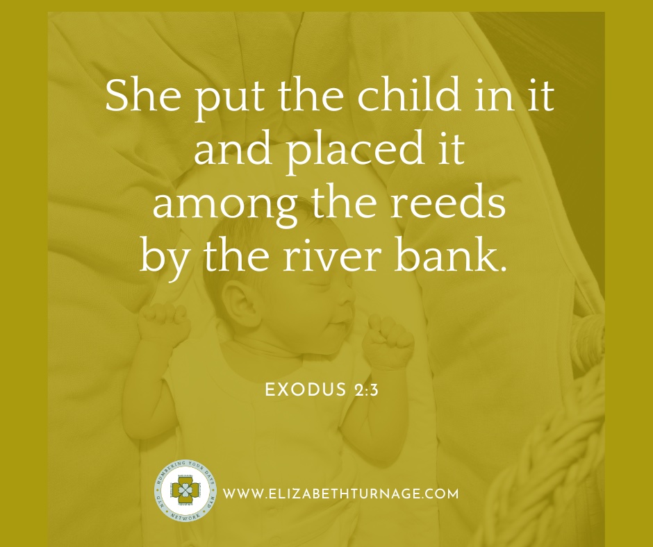 She put the child in it and placed it among the reeds by the river bank.