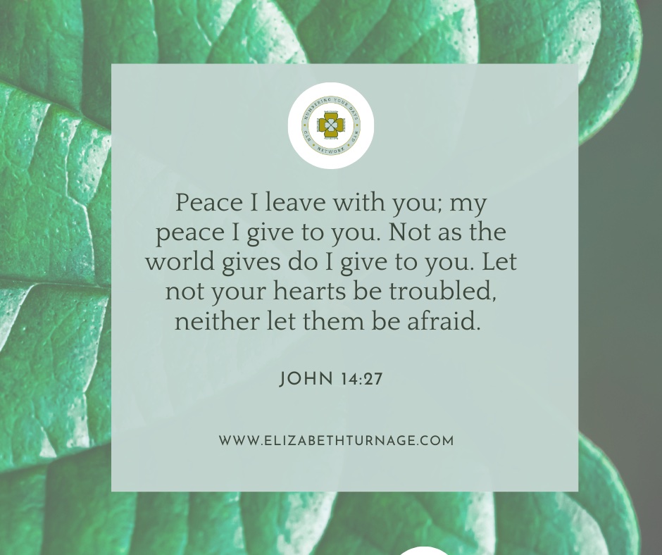 John14_27 Peace I leave with you; my peace I give to you. Not as the world gives do I give to you. Let not your hearts be troubled, neither let them be afraid.