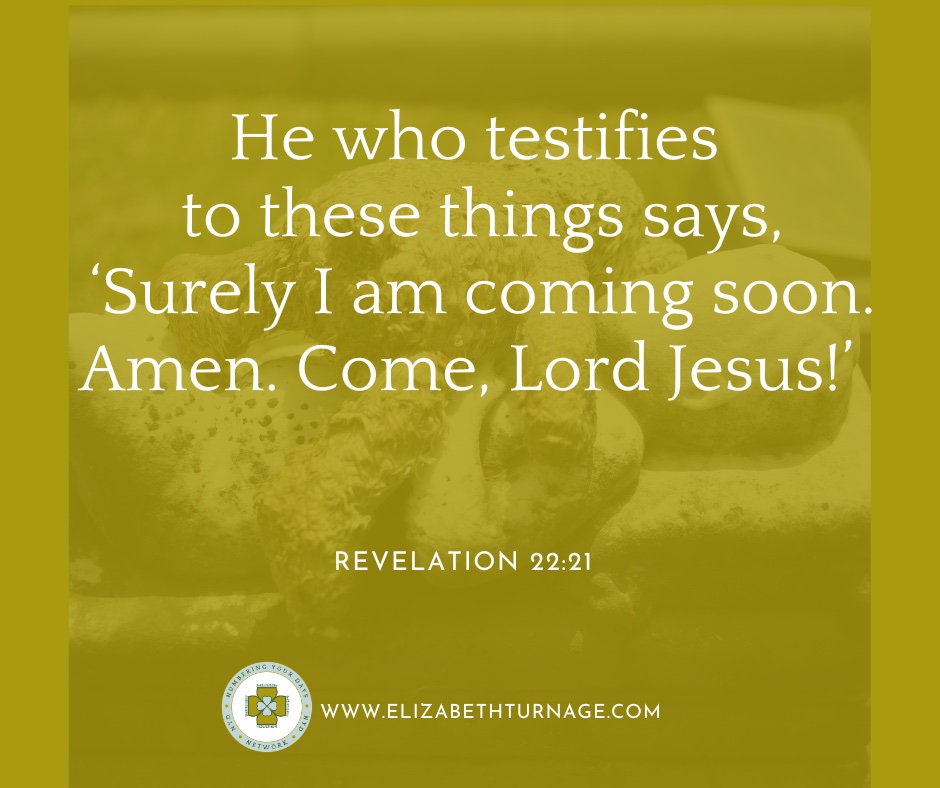Rev22_21 He who testifies to these things says, ‘Surely I am coming soon. Amen. Come, Lord Jesus!’