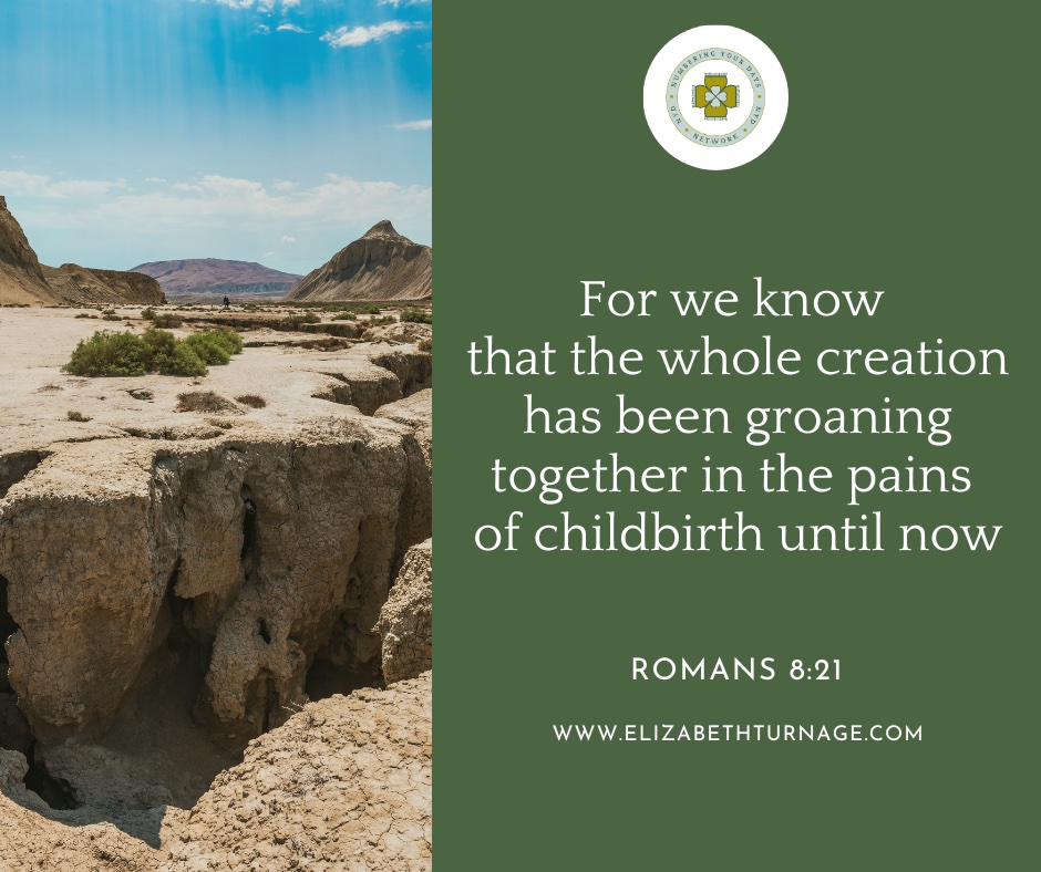 Romans8_21 For we know that the whole creation has been groaning together in the pains of childbirth until now.