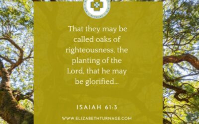 A Prayer about Becoming an Oak of Righteousness