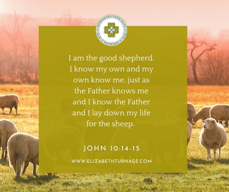 I am the good shepherd. I know my own and my own know me, just as the Father knows me and I know the Father and I lay down my life for the sheep.