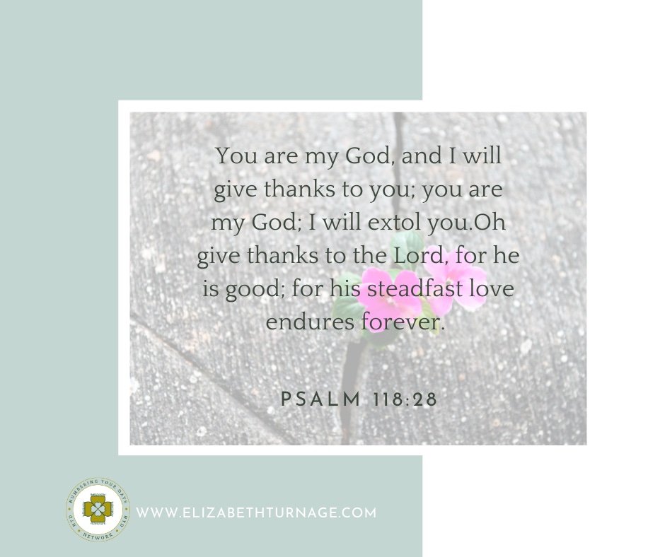 Psalm118_28 You are my God, and I will give thanks to you; you are my God; I will extol you. Oh give thanks to the Lord, for he is good; for his steadfast love endures forever.