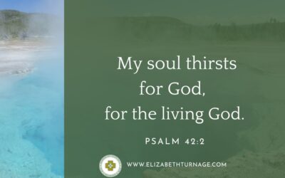 A Prayer about Our Soul-Thirst
