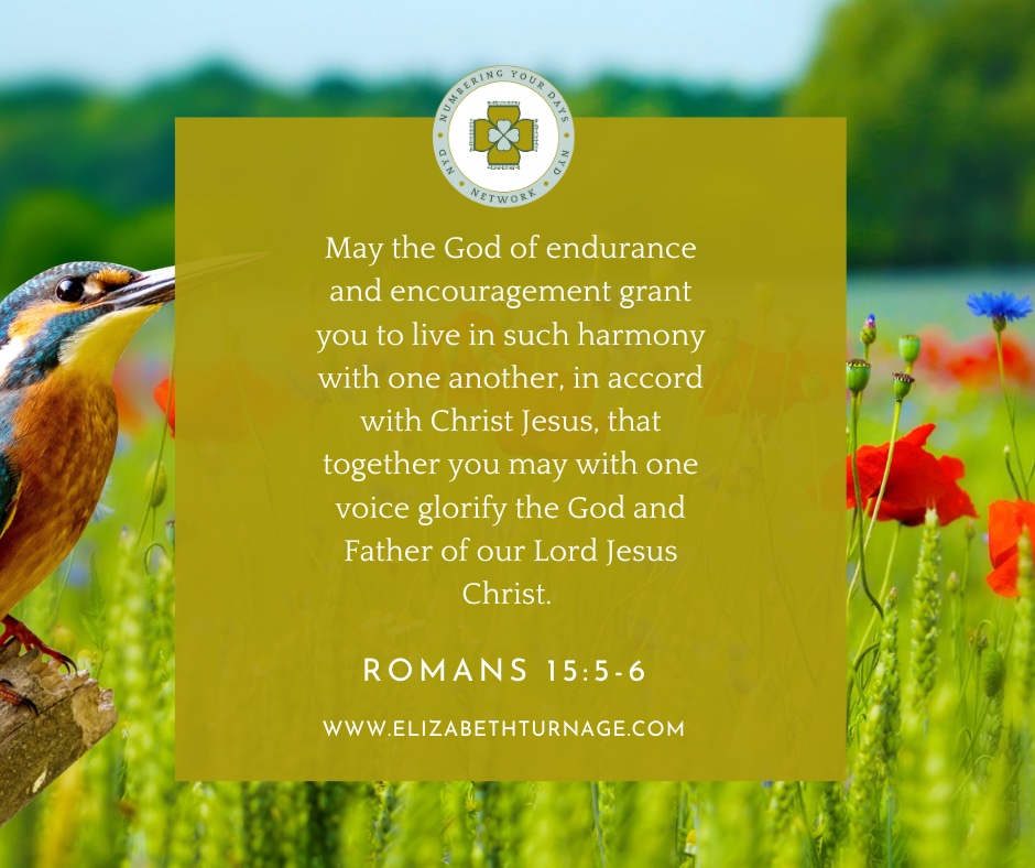 May the God of endurance and encouragement grant you to live in such harmony with one another, in accord with Christ Jesus, that together you may with one voice glorify the God and Father of our Lord Jesus Christ.