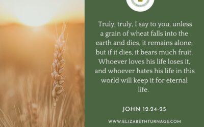 A Prayer about Dying to Bear Fruit