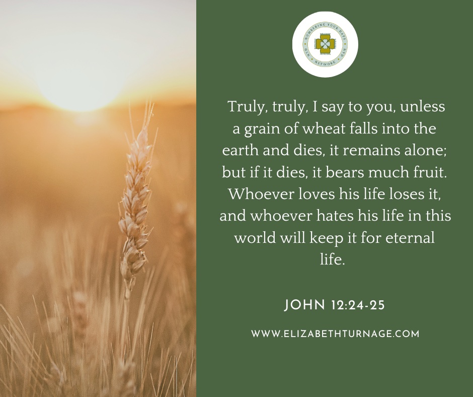 Truly, truly, I say to you, unless a grain of wheat falls into the earth and dies, it remains alone; but if it dies, it bears much fruit. Whoever loves his life loses it, and whoever hates his life in this world will keep it for eternal life.