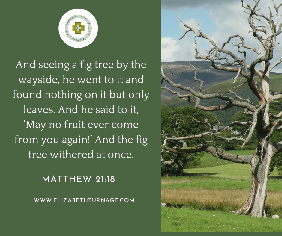 And seeing a fig tree by the wayside, he went to it and found nothing on it but only leaves. And he said to it, ‘May no fruit ever come from you again!’ And the fig tree withered at once.