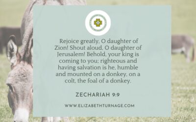 A Prayer about a King Riding a Donkey