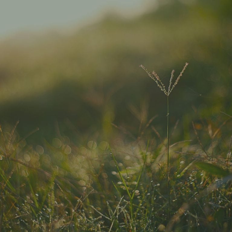 A Prayer about Living in Faith, Hope, and Love