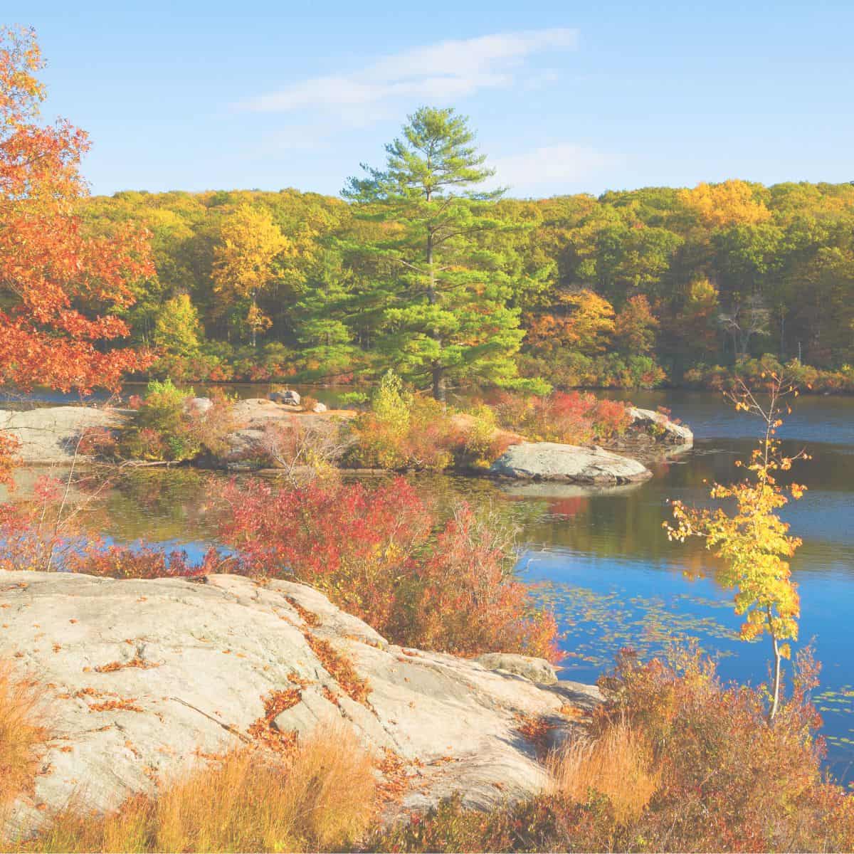 A lake during fall with trees and a rock island